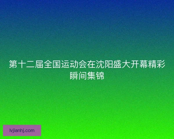 第十二届全国运动会在沈阳盛大开幕精彩瞬间集锦 第十二届全国运动会在沈阳盛大开幕精彩瞬间集锦