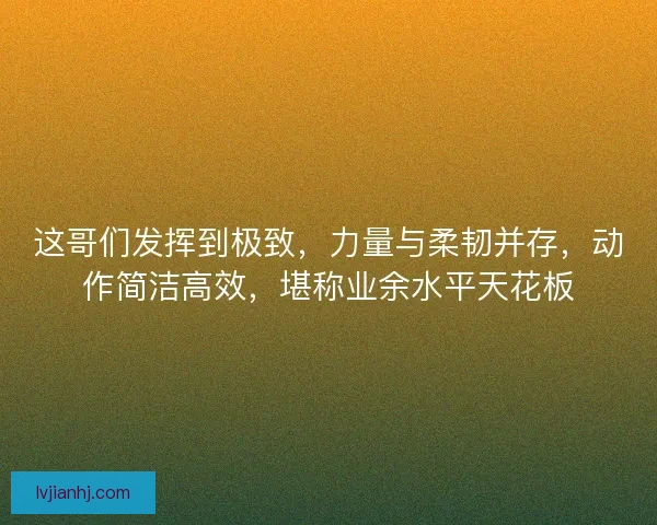 这哥们发挥到极致，力量与柔韧并存，动作简洁高效，堪称业余水平天花板