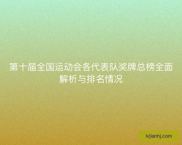 第十届全国运动会各代表队奖牌总榜全面解析与排名情况